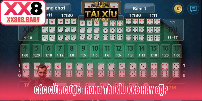 Các cửa cược trong tài xỉu XX8 hay gặp