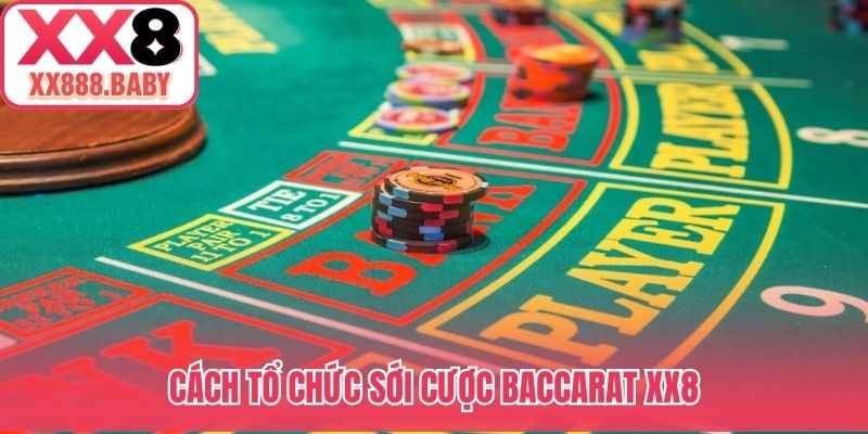 Cách tổ chức sới cược Baccarat XX8
