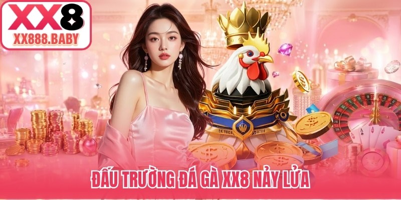 Đấu trường đá gà XX8 nảy lửa