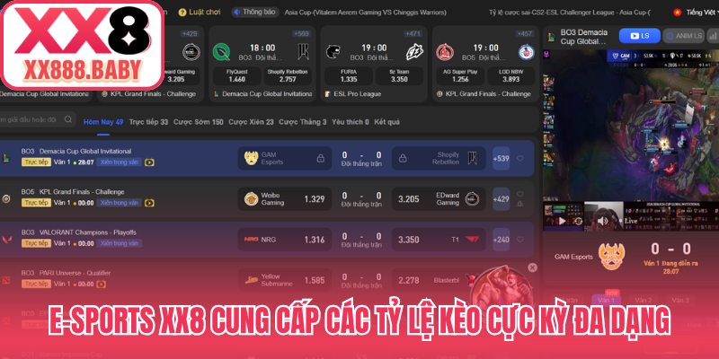 E-sports XX8 cung cấp các tỷ lệ kèo cực kỳ đa dạng