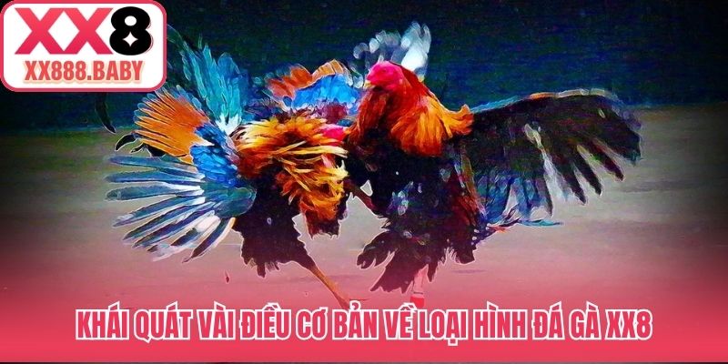 Khái quát vài điều cơ bản về loại hình đá gà XX8